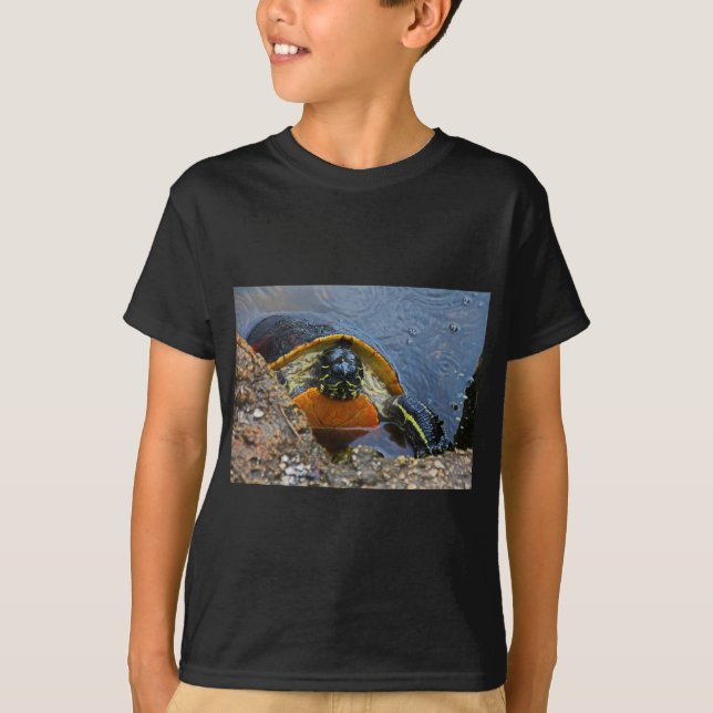 Camiseta Tortuga pintada (Anverso)