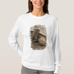 Camiseta Tortuga terrestre de Seychelle Aldabra
