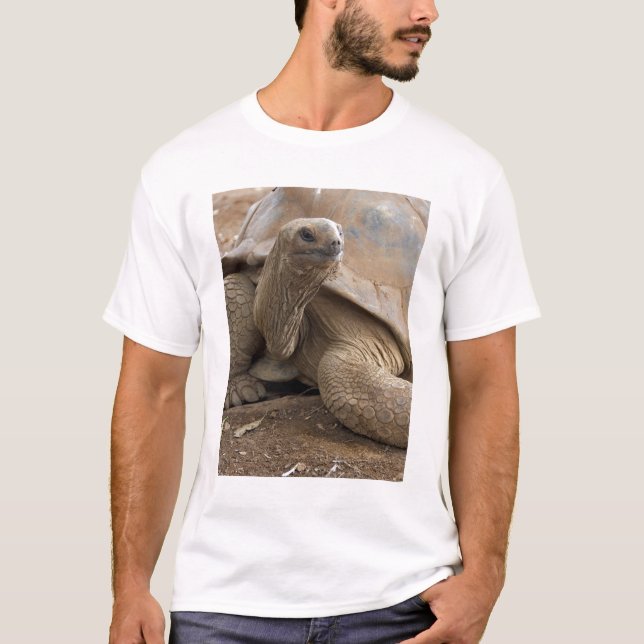 Camiseta Tortuga terrestre de Seychelle Aldabra (Anverso)