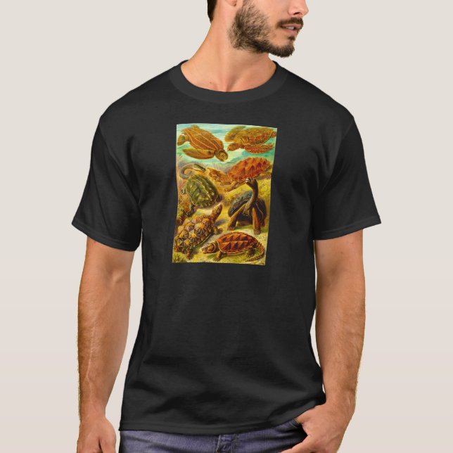Camiseta Tortugas (Anverso)