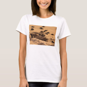 Camiseta Tortugas de mar