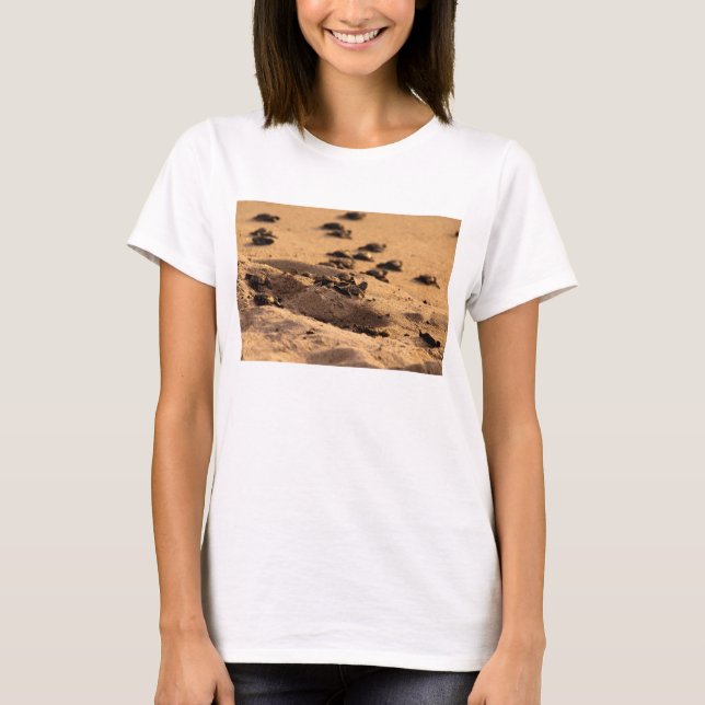 Camiseta Tortugas de mar (Anverso)