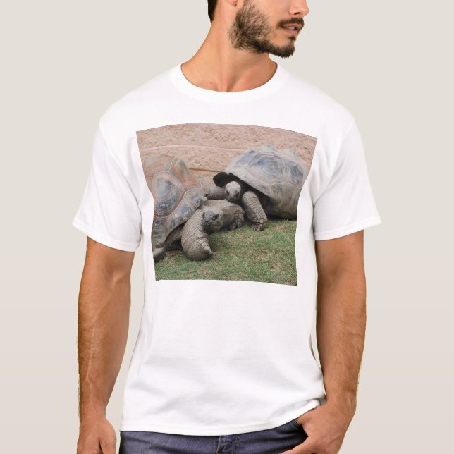Camiseta tortugas gigantes (Anverso)