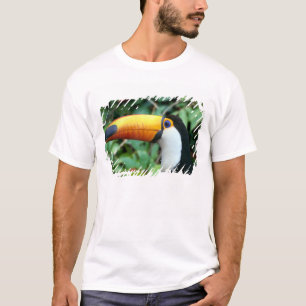 Camiseta Toucan Bebida Amarilla