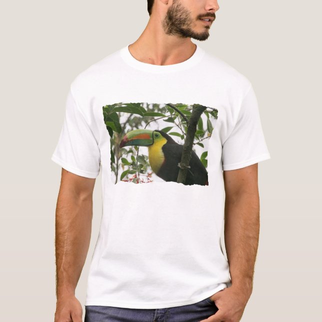 Camiseta Toucan en la selva (Anverso)
