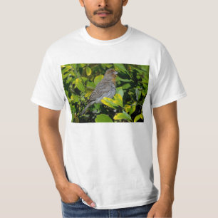 Camiseta Towhee de California