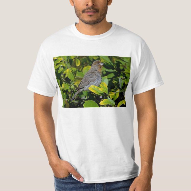 Camiseta Towhee de California (Anverso)