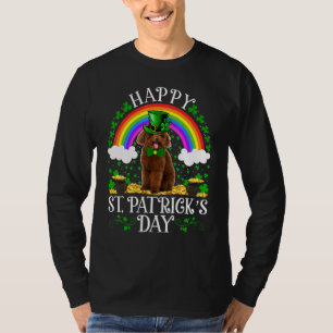 Camiseta Toy Poodle Rainbow Vintage Poodle St Patrones