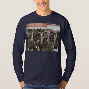 Camiseta Trabajo en equipo