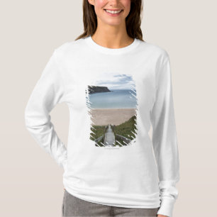 Camiseta Trabane o el filamento de plata cerca de Malin