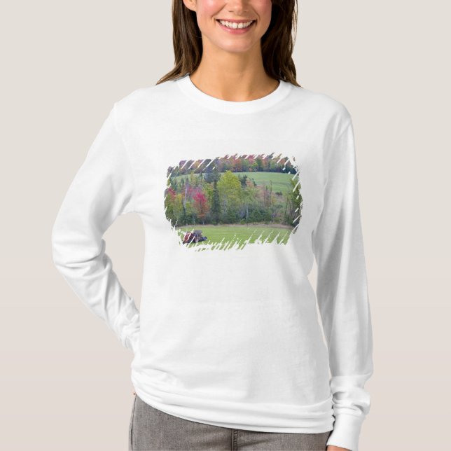 Camiseta Tractor con pacas de heno en campo verde con (Anverso)