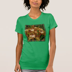 Camiseta Tracyanum del Cymbidium