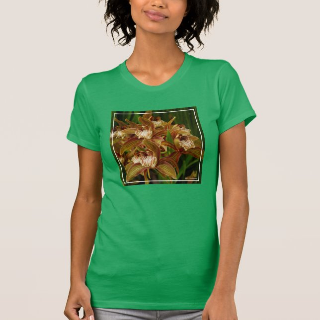 Camiseta Tracyanum del Cymbidium (Anverso)