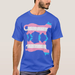Camiseta Tragón de gato animal con bandera transsexual del
