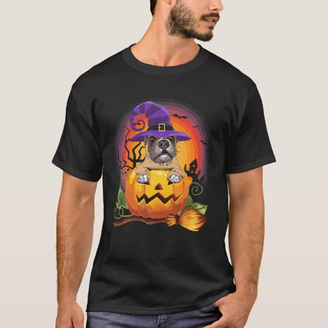 Camiseta Traje de calabaza para brujas Halloween Perro Rast (Anverso)