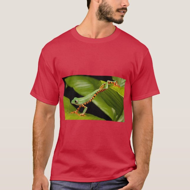 Camiseta Tranquysemv Vibraciones Tranquilas (Anverso)