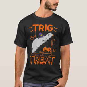Camiseta Trata O Trate Hippopótamo Math Teachme Costume Ha