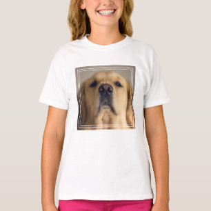 Camiseta Tratado de equilibrio de la recuperación dorada e