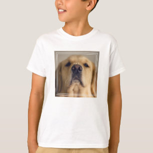 Camiseta Tratado de equilibrio de la recuperación dorada e