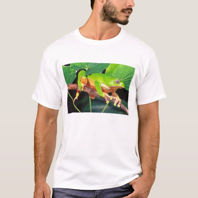 Camiseta Treefrog de mono bicolor gigante, Phyllomedusa (Anverso)