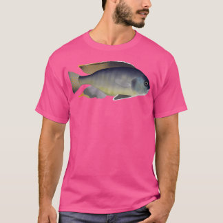 Camiseta Trematocrano placodon