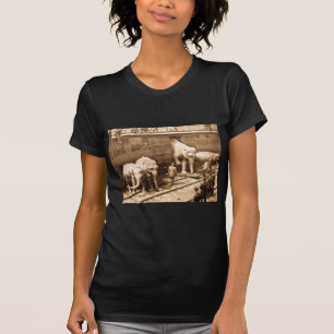 Camiseta Tren del elefante de Ringling Bros de la