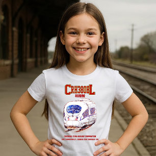 Camiseta Tren Eléctrico de Alta Velocidad CRH380BL de China