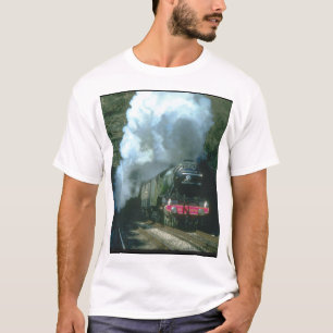 Camiseta Trenes cogidos Scotsman del between_Steam del