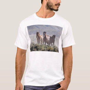 Camiseta Tres amigos