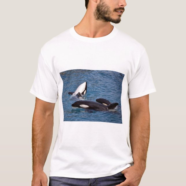 Camiseta Tres ballenas asesinas (Anverso)