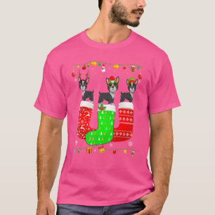 Camiseta Tres Boston Terrier con calcetines de Navidad a ju