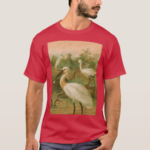 Camiseta Tres Bucerótidos Atravesados Por El Marsh