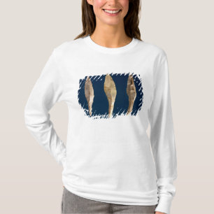 Camiseta Tres cabezas de la flecha