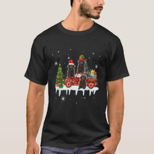 Camiseta Tres duendes renos de Santa Sproodles en la camion