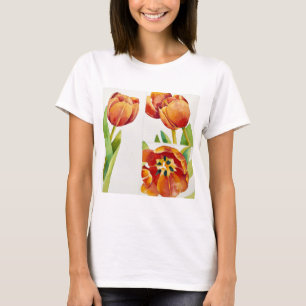 Camiseta Tres estudios del tulipán en un 2013 seguro