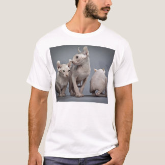 Camiseta Tres gatos sin pelo