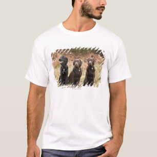 Camiseta Tres labradores retrieveres negros