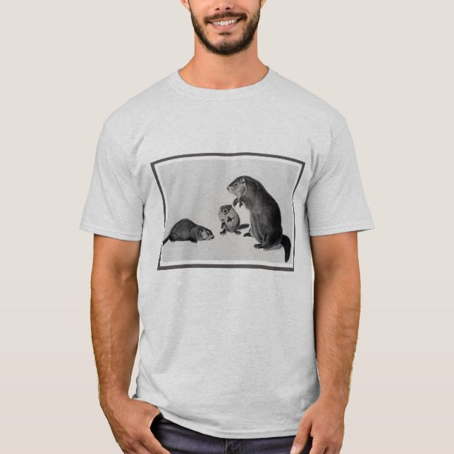 Camiseta Tres marmotas (Anverso)