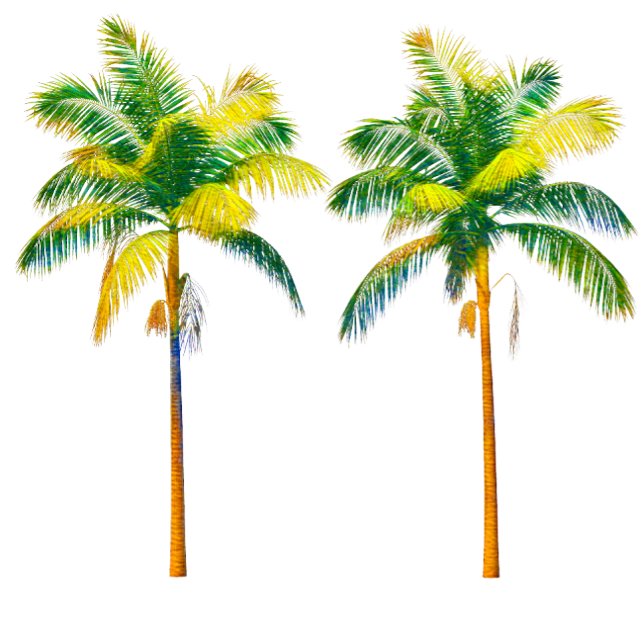 Camiseta Tres palmeras (Subido por el creador)