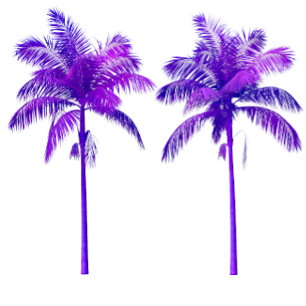 Camiseta Tres palmeras moradas