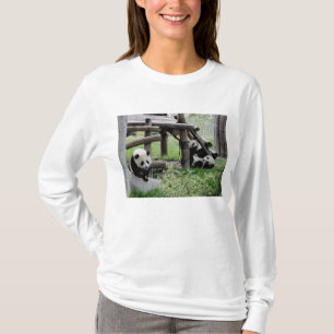 Camiseta Tres Pandas Bebés - CUIDADO