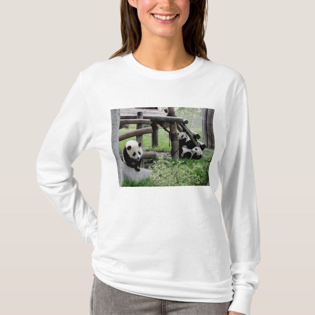 Camiseta Tres Pandas Bebés - CUIDADO (Anverso)