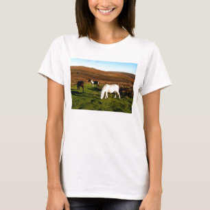 Camiseta Tres potros en Dartmoor