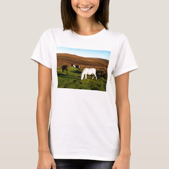 Camiseta Tres potros en Dartmoor (Anverso)