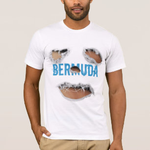 Camiseta Triángulo de las Bermudas