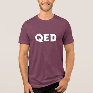 CAMISETA TRIBLENDA