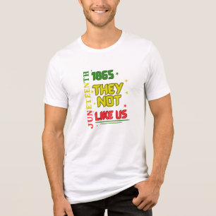 Camiseta Triblenda 19 de junio No nos gustan