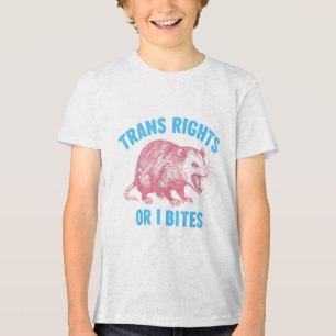 Camiseta Triblenda Activista Lgbtq Transgender Equality Trans Rights