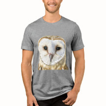 Bella búho de granero