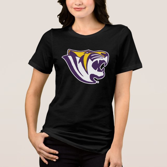 Camiseta Triblenda Benedicto Tigre (Anverso)
